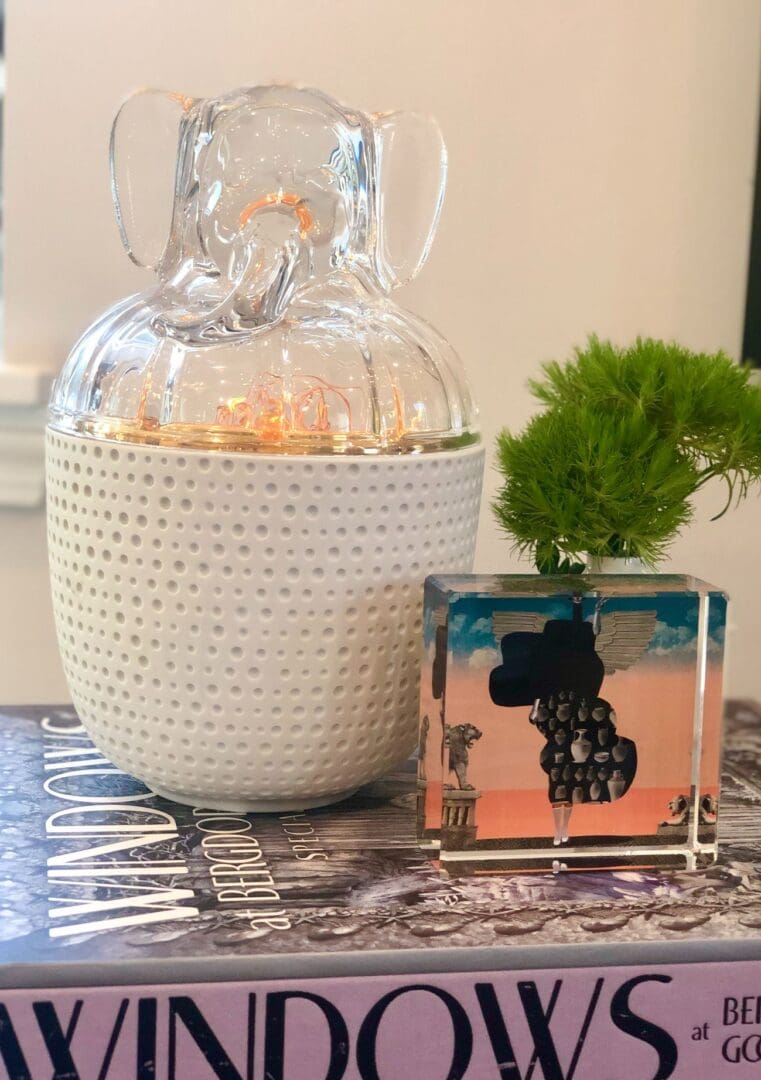 A vase and a plant on a table.